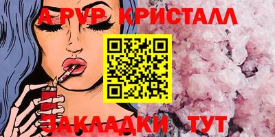 стаф Донской