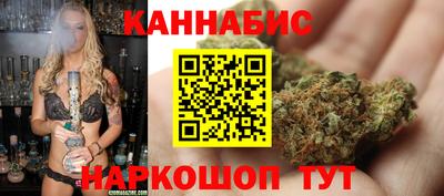 стаф Донской