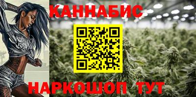 стаф Донской