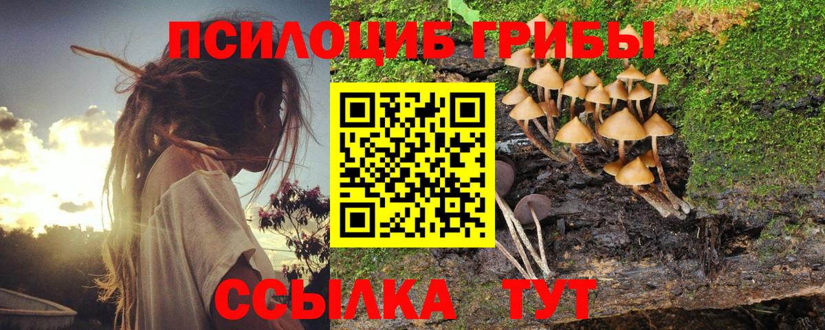 Галлюциногенные грибы GOLDEN TEACHER  Вход с VPN  Михайловск 